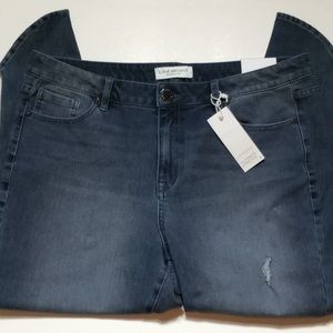 Lane Bryant Ultimate Stretch High Rise Skinny Jean